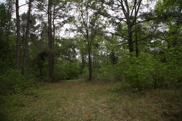 258 Hearne Rd, Corrigan, TX 75939 - photo 6