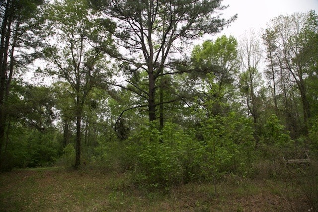 258 Hearne Rd, Corrigan, TX 75939 - photo 7