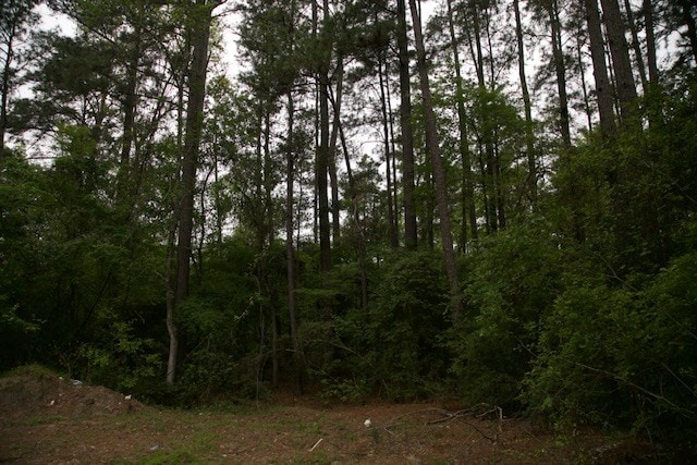 258 Hearne Rd, Corrigan, TX 75939 - photo 4