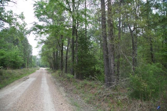 258 Hearne Rd, Corrigan, TX 75939 - photo 1