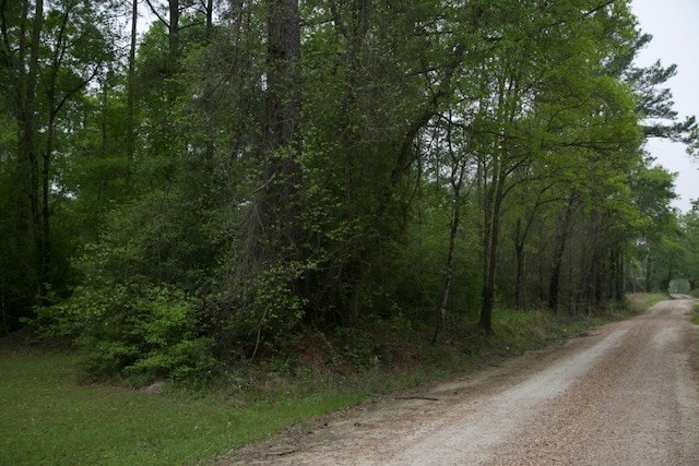 258 Hearne Rd, Corrigan, TX 75939 - photo 2