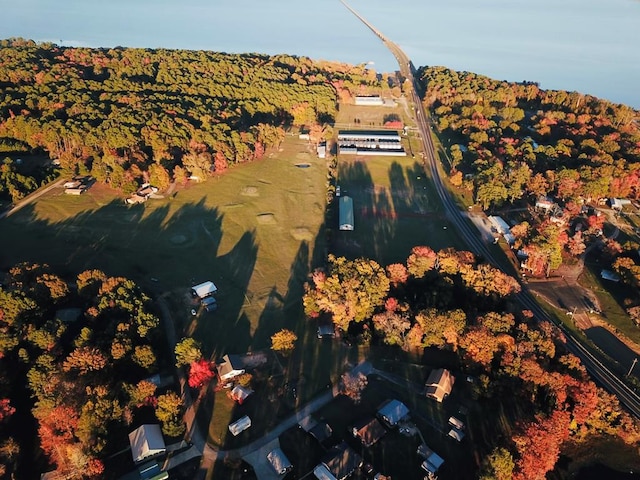 drone / aerial view