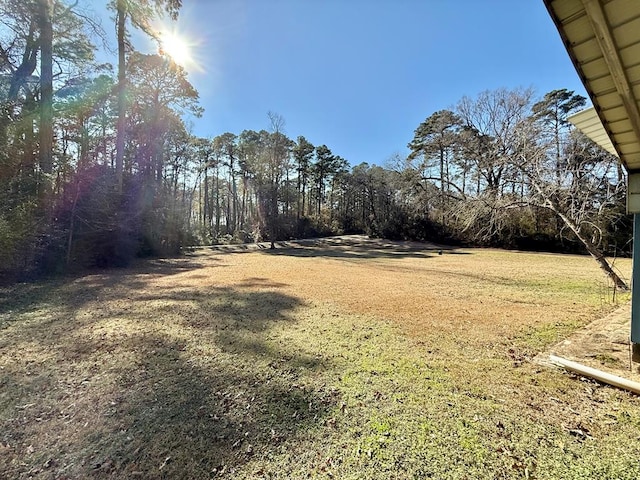 view of yard