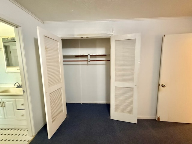 closet featuring sink