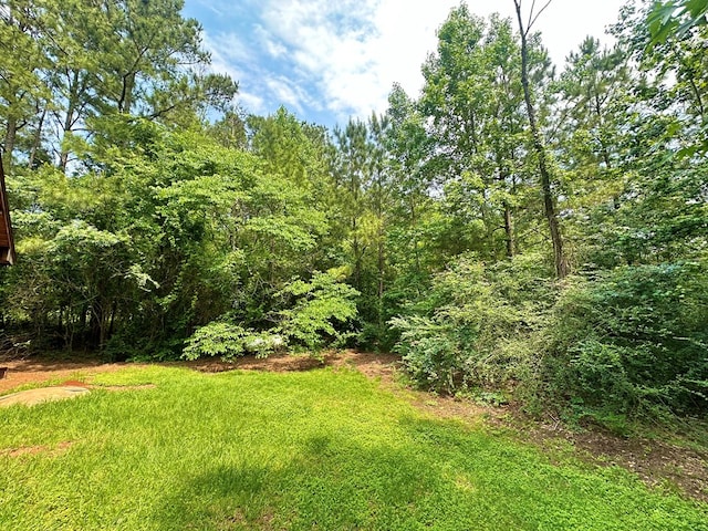 677 County Road 105, San Augustine, TX 75972 - view of yard