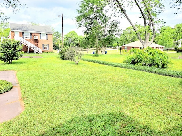 208 E Livingston St, San Augustine, TX 75972 - view of green lawn