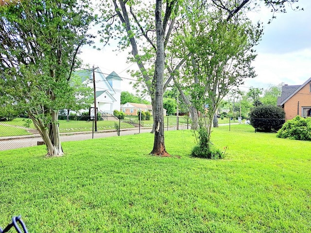 208 E Livingston St, San Augustine, TX 75972 - view of yard