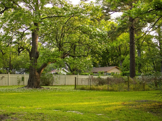 476 Jefferson Ave, Lufkin, TX 75904 - view of yard