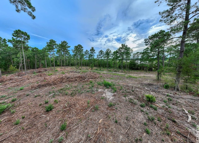 001 Fm 83, Broaddus, TX 75929
