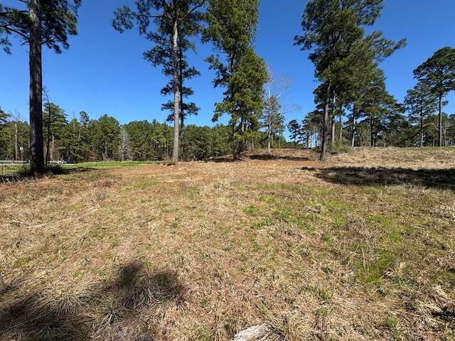 001 Fm 83, Broaddus, TX 75929