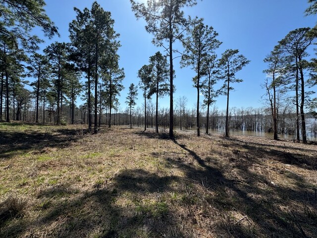001 Fm 83, Broaddus, TX 75929