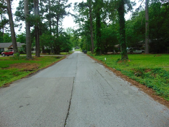 1202 Mimosa, Lufkin, TX 75901 - view of asphalt road