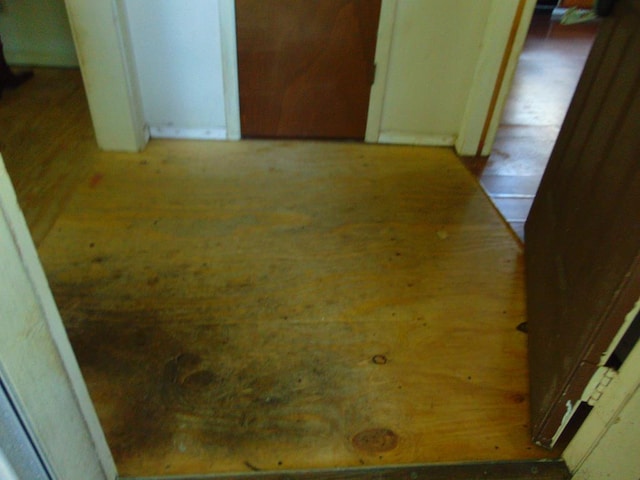 1202 Mimosa, Lufkin, TX 75901 - detailed view of wood finished floors