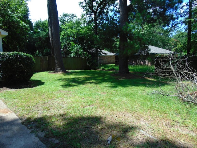 1202 Mimosa, Lufkin, TX 75901 - view of yard