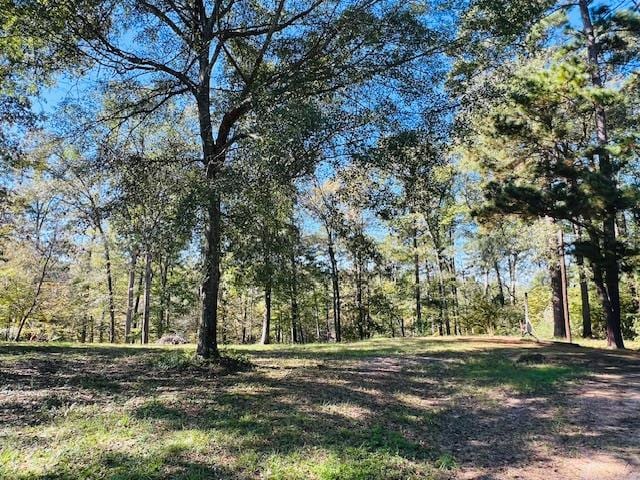 199 Davy Crockett Ct, Hemphill TX, 75948 land for sale