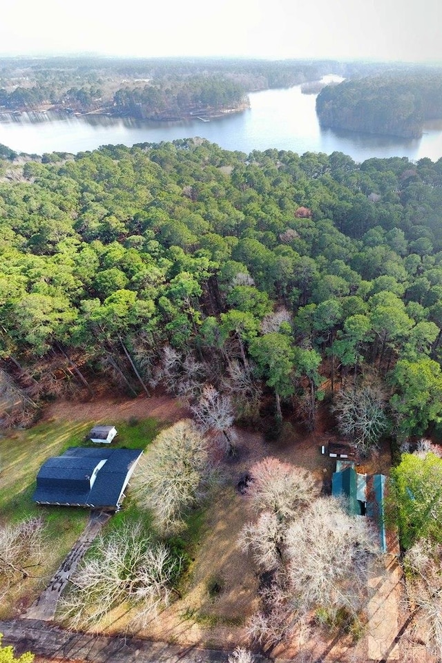 bird's eye view with a water view and a view of trees