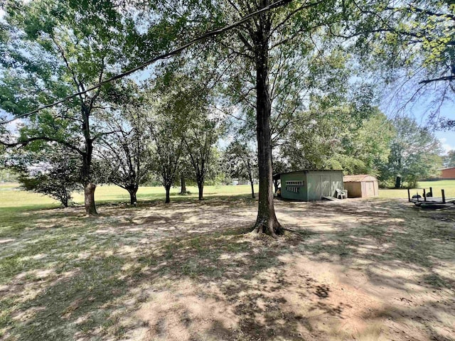 view of yard featuring a storage unit