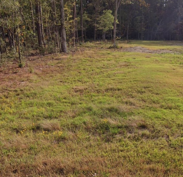 293 School Craft Rd, Lufkin, TX 75901 - photo 2