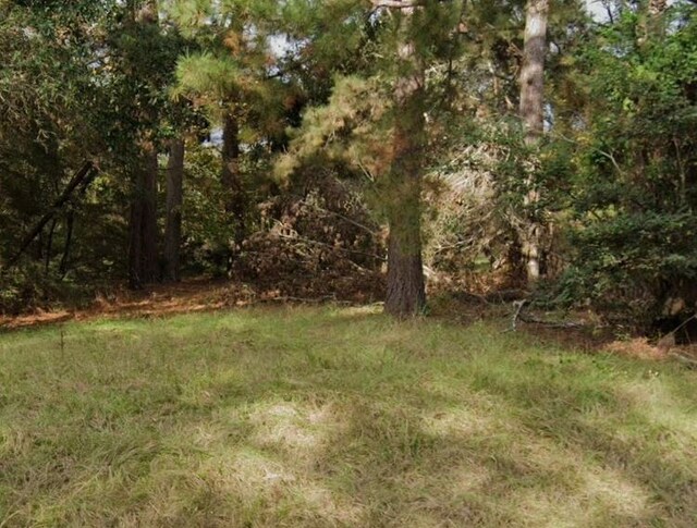 293 School Craft Rd, Lufkin, TX 75901 - photo 3