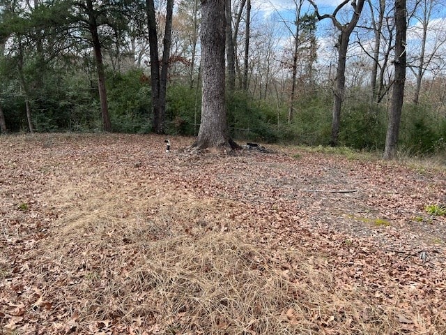 view of local wilderness