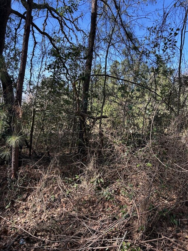200 Haddaway Ln, Lufkin, TX 75901 - photo 5