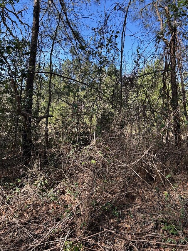 200 Haddaway Ln, Lufkin, TX 75901 - photo 4