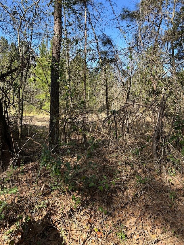 200 Haddaway Ln, Lufkin, TX 75901 - photo 2