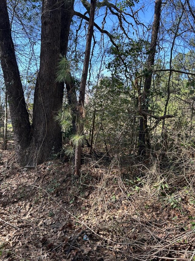 200 Haddaway Ln, Lufkin, TX 75901 - photo 6