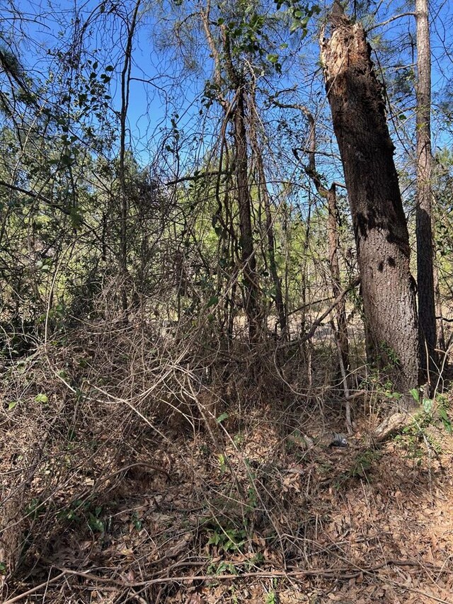 200 Haddaway Ln, Lufkin, TX 75901 - photo 3