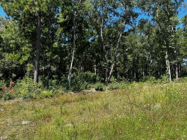 118 Yaupon Ct, Lufkin TX, 74904 land for sale