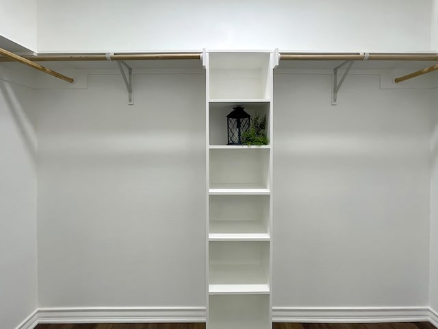 spacious closet featuring dark wood-style floors