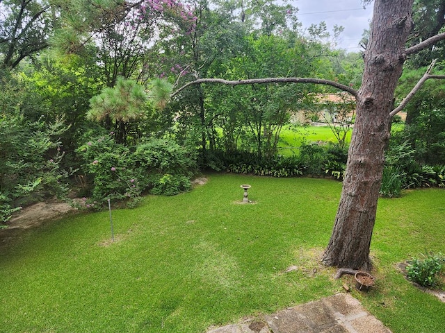 911 Allendale, Lufkin, TX 75904 - view of grassy yard