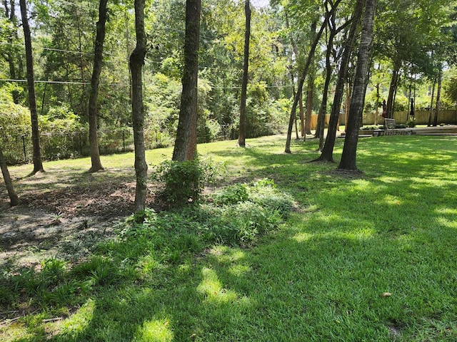 102 Harmony Hill Ct, Lufkin, TX 75901 - view of yard