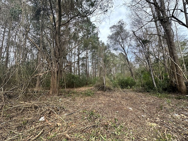 view of local wilderness featuring a view of trees