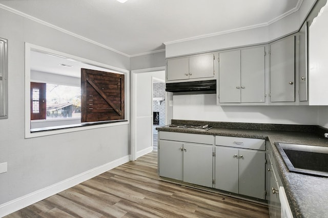 kitchen featuring dark countertops, under cabinet range hood, and gray cabinetry