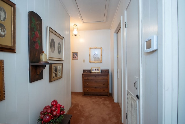 corridor with carpet flooring and wooden walls