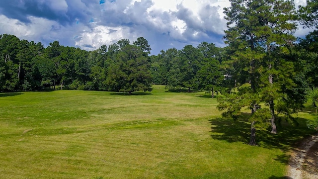 view of landscape