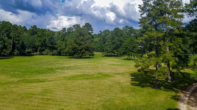 1502 Brentwood Dr, Lufkin, TX 75901 - photo 9