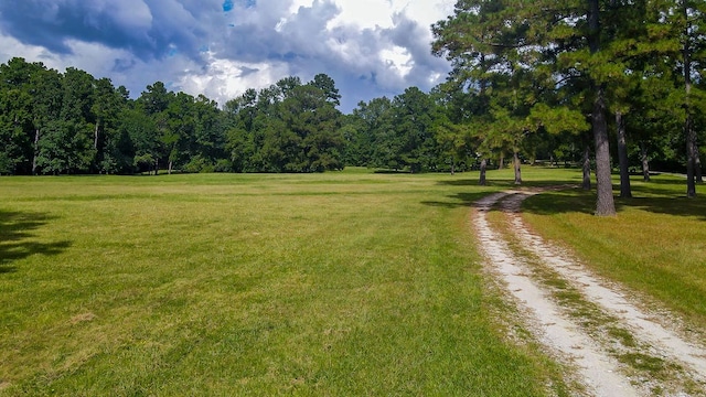 view of home's community featuring a yard