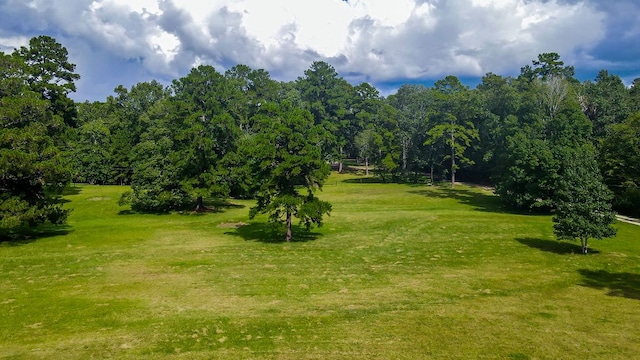 view of property's community featuring a lawn