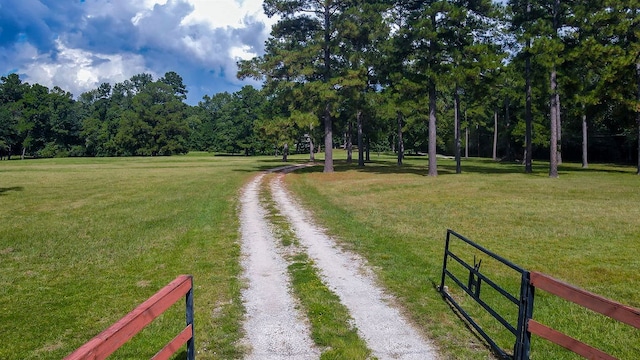 view of home's community with a lawn