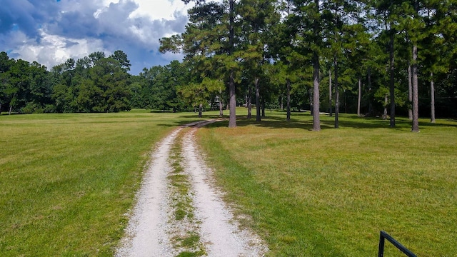 view of community featuring a lawn