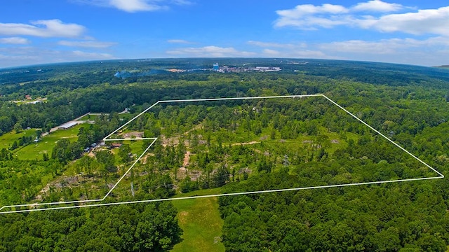 PARCELID32581 Four B Ln, Angelina County, TX 75901 - photo 1