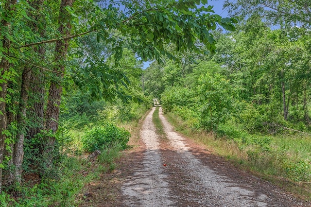 PARCELID32581 Four B Ln, Angelina County, TX 75901 - photo 3