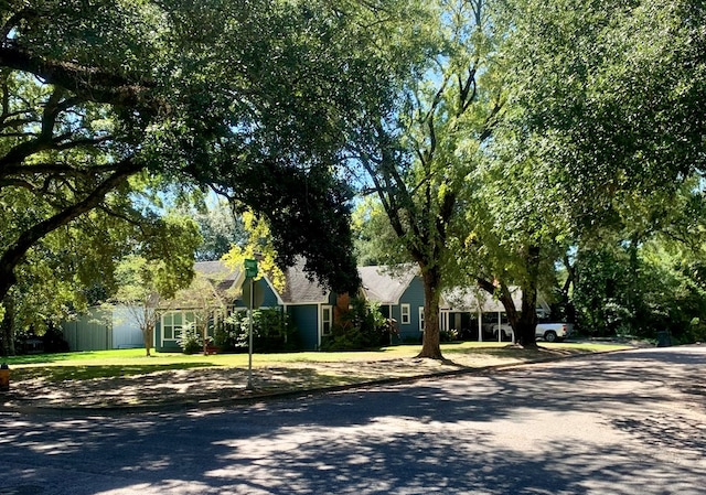 661 N Bowie St, Jasper, TX 75951 - view of property hidden behind natural elements