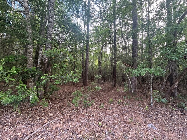 LOT8 Wildwood Dr, Village Mills, TX 77663 - photo 5