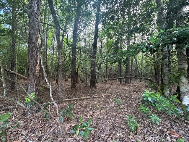 LOT8 Wildwood Dr, Village Mills, TX 77663 - photo 3
