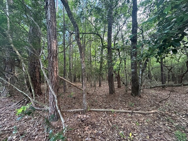 LOT8 Wildwood Dr, Village Mills, TX 77663 - photo 4