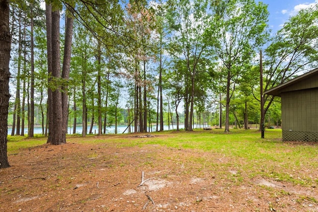 view of yard with a water view