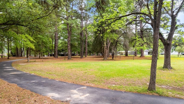 view of community featuring a lawn